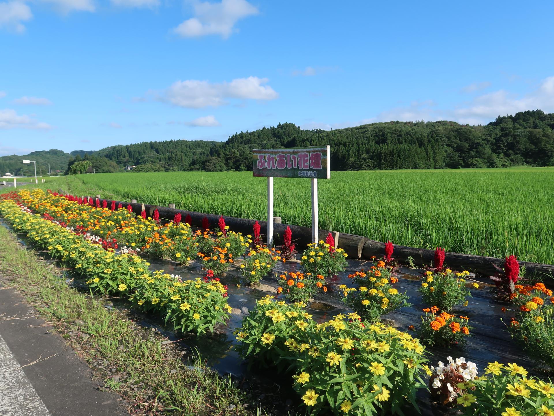 萩荘本郷自治会の花壇の写真